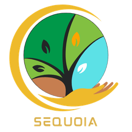 Sequoia